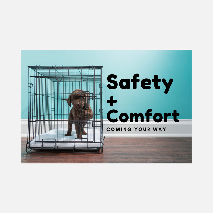 Funky Fidos - Customizable Pet Crate Mat for Secure Serenity